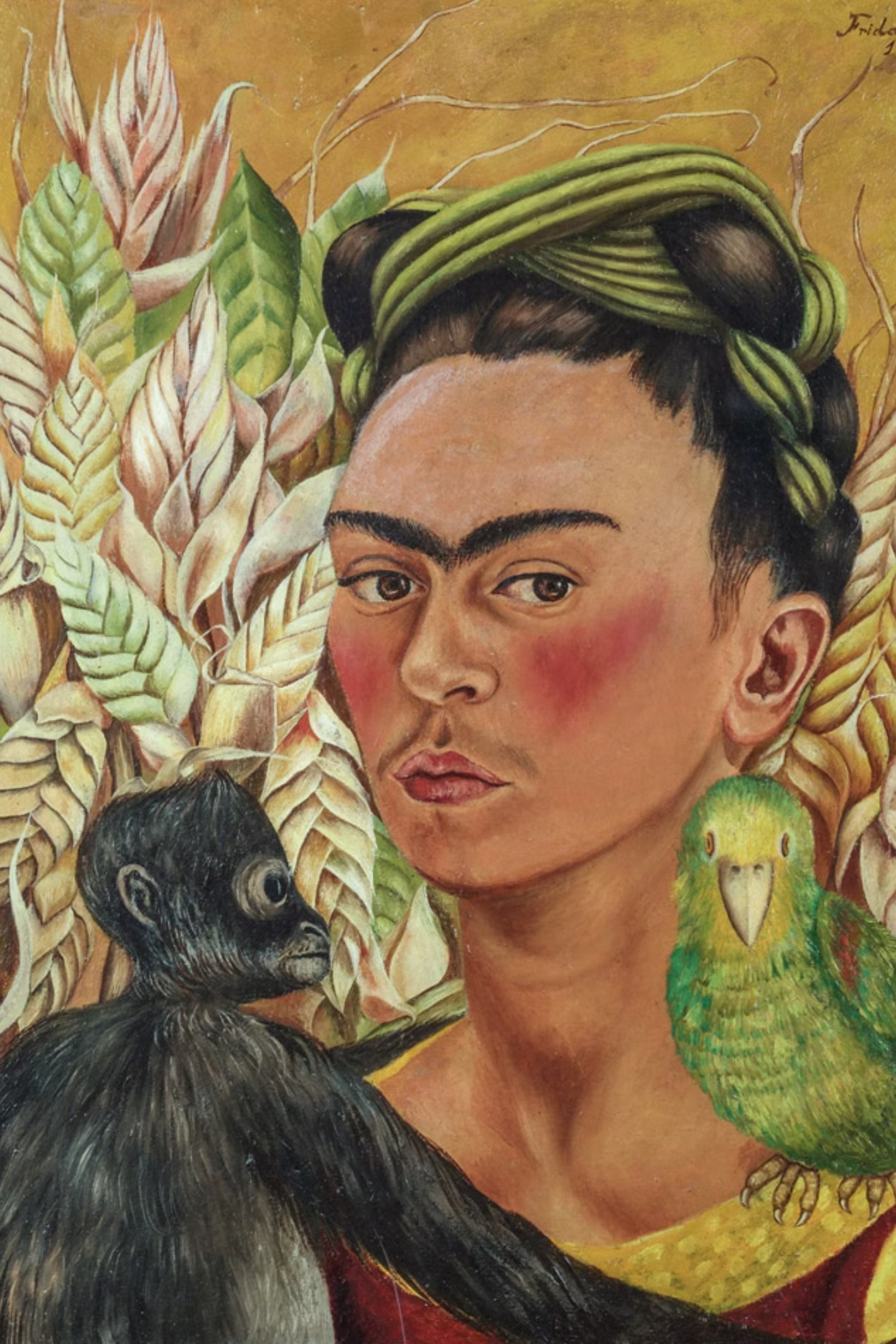 MALBA · Frida Kahlo